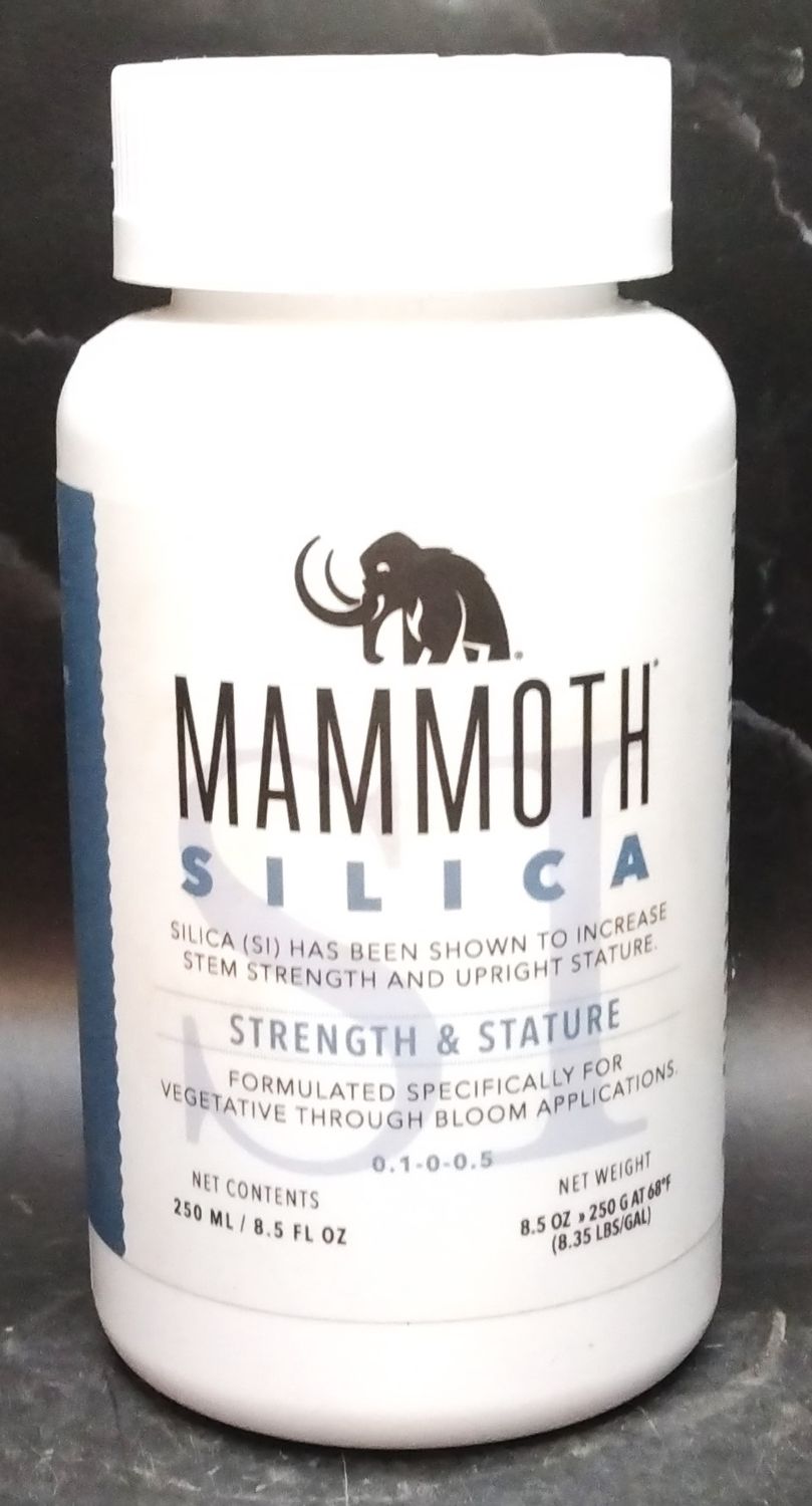 Mammoth Silica 500 ml
