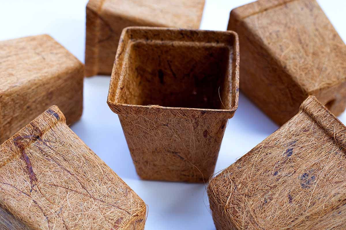 Biodegradable Coco Coir 4.25 &quot; Pot