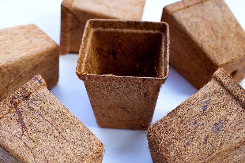Biodegradable Coco Coir 4.25 " Pot
