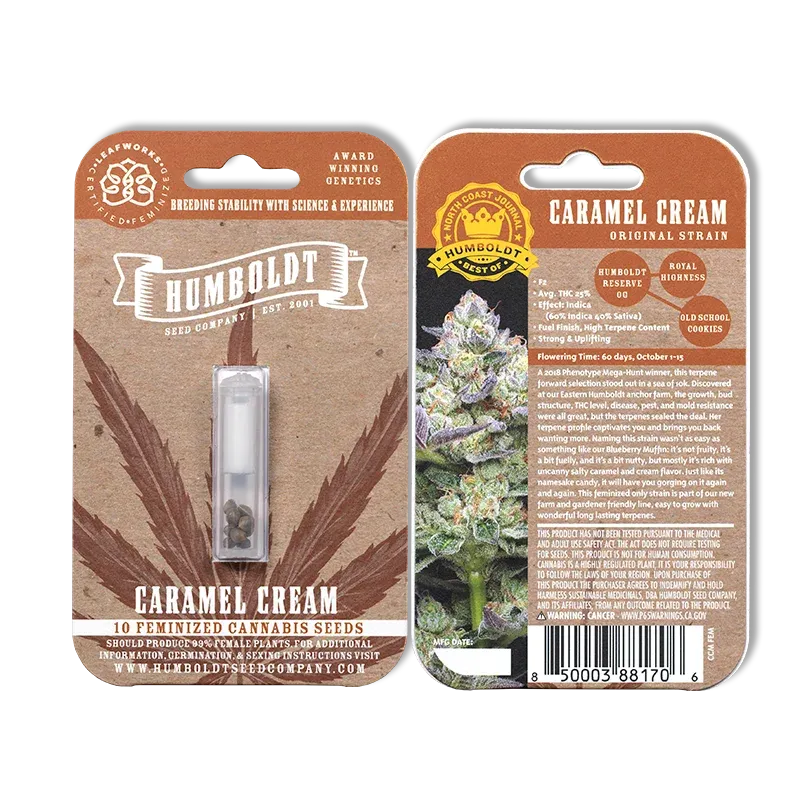 Caramel Cream