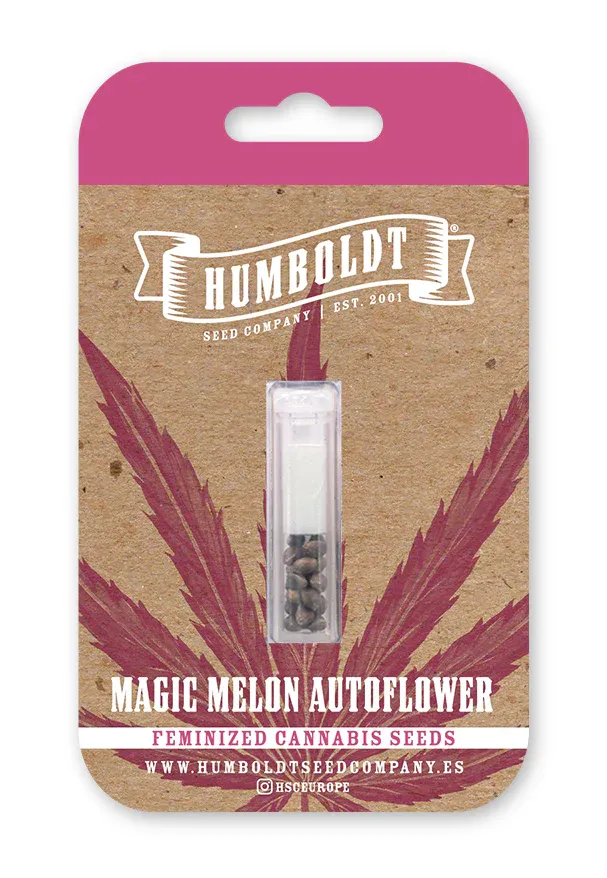 Magic Melon Auto