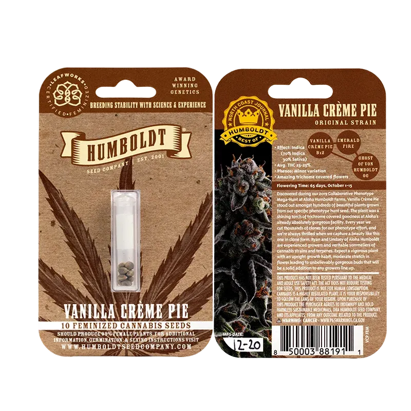 Vanilla Creme Pie