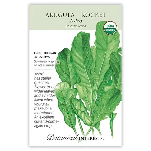 Arugula Rocket