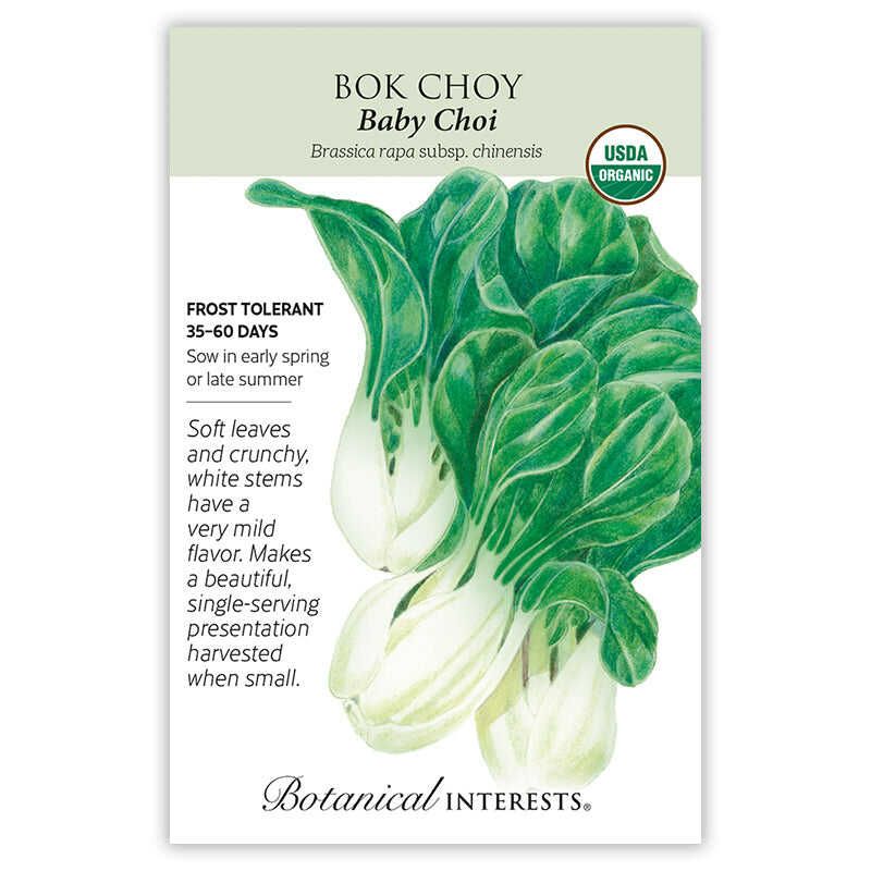 Bok Choy Baby Choi