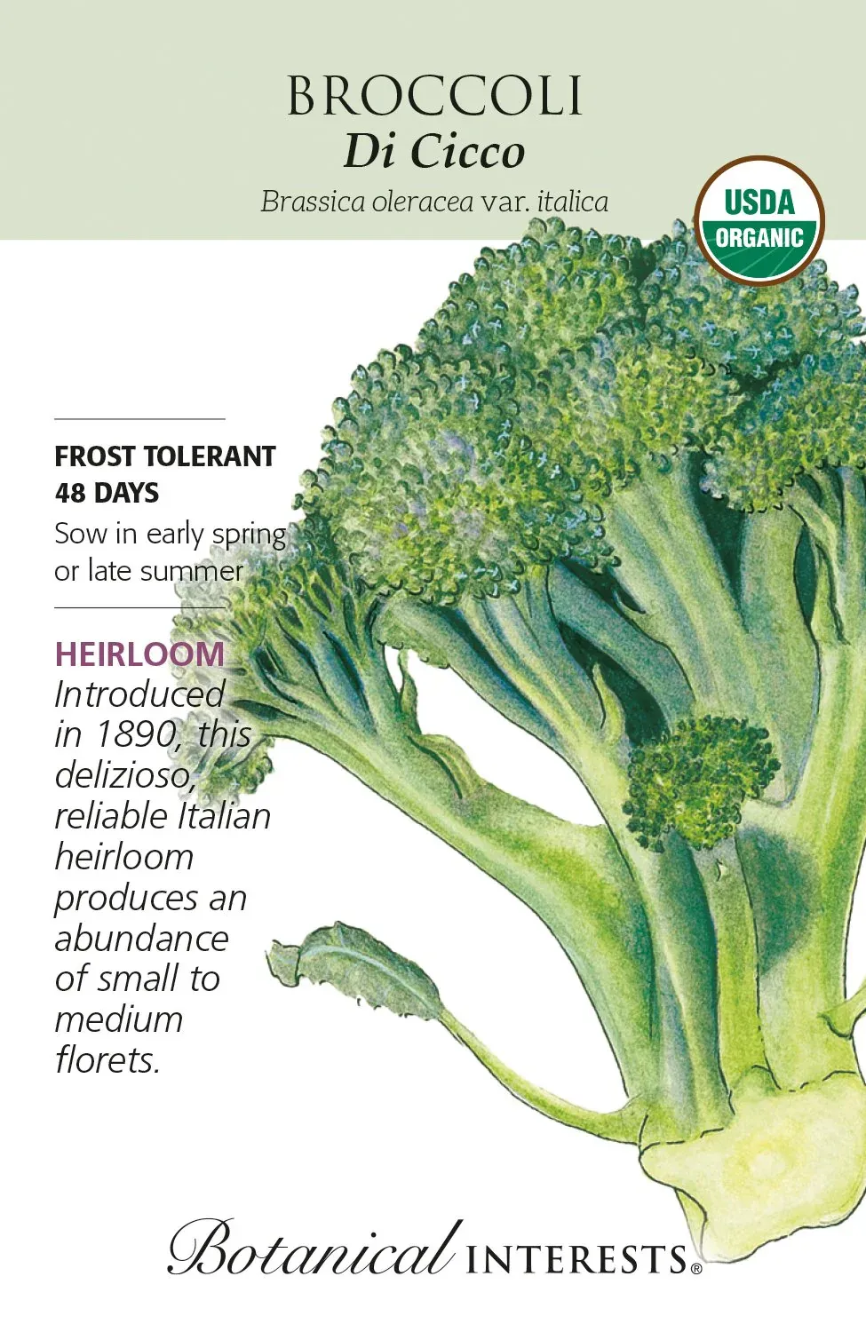 Broccoli Di Cicco