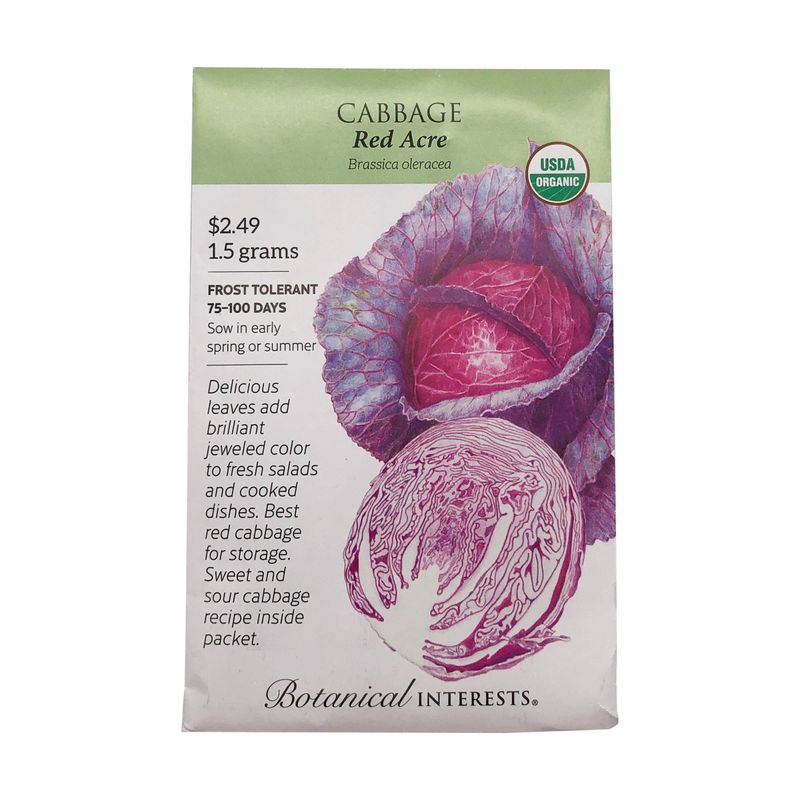 Cabbage Red Acre