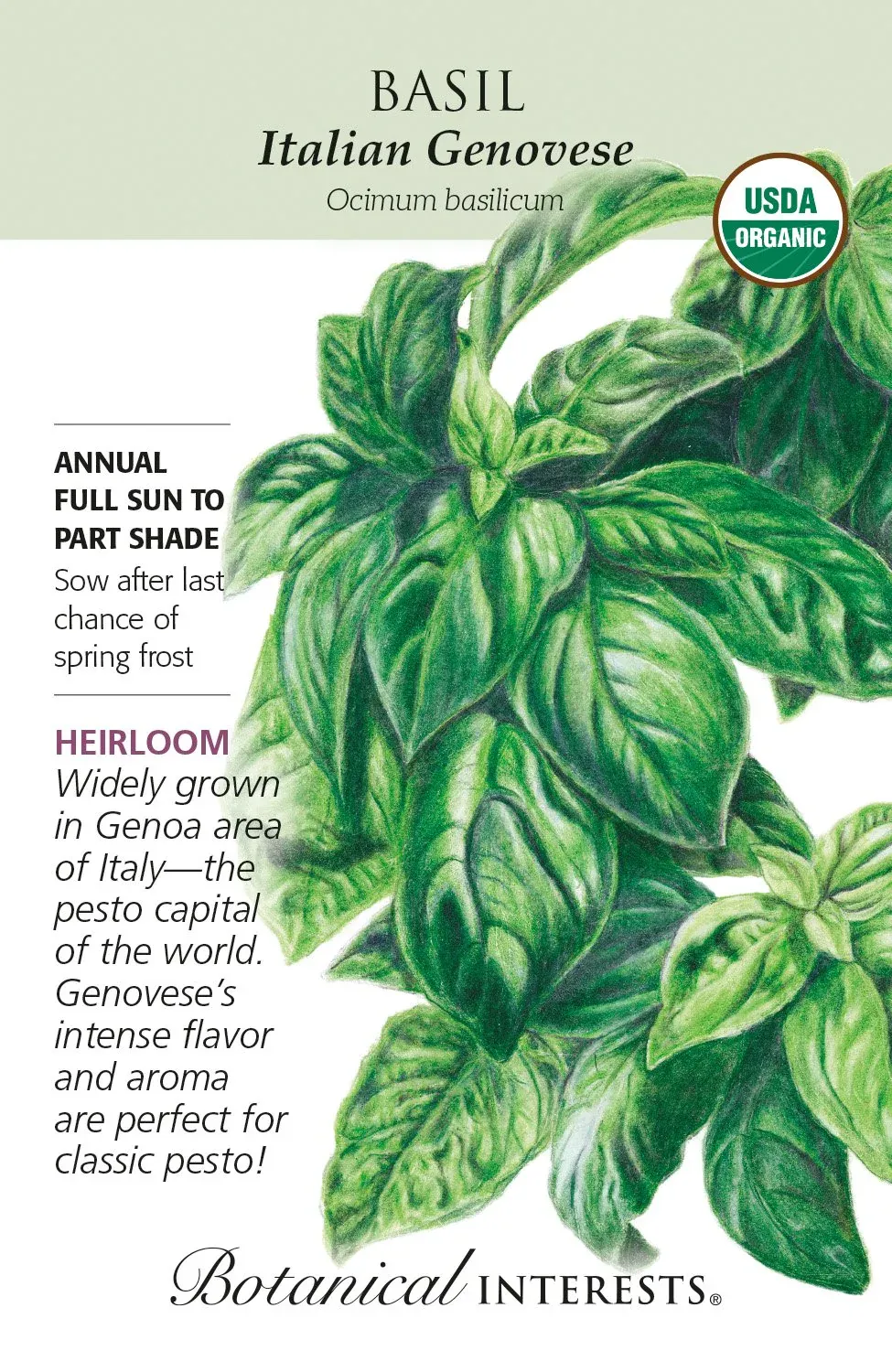 Basil Italian Genovese