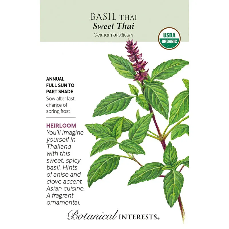 Basil Thai Sweet Thai