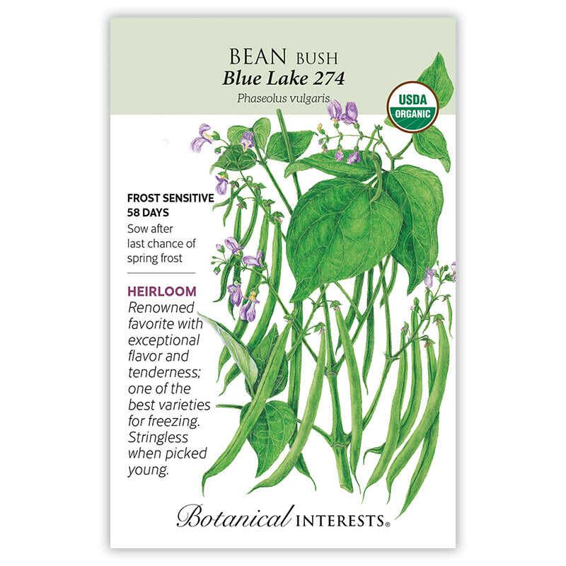 Bean Bush Blue Lake