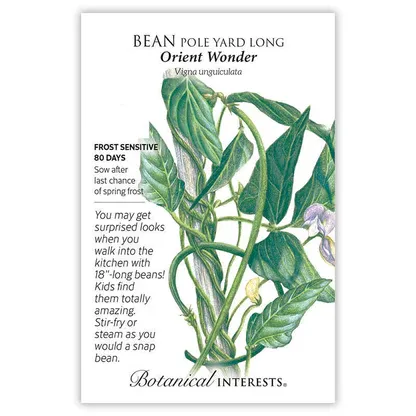 Bean Pole Yard Long Orient Wonder
