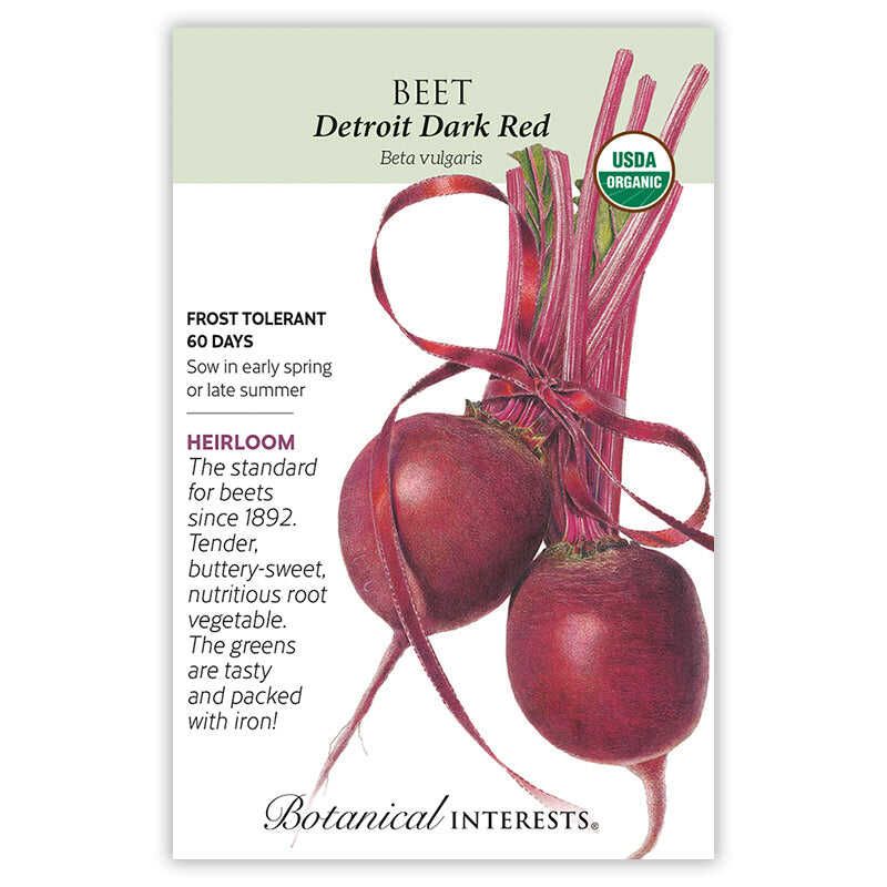 Beet Detroit Dark Red