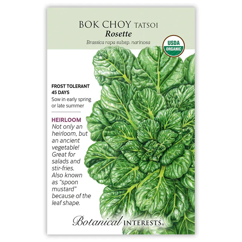 Bok Choi Tatsoi Rosette