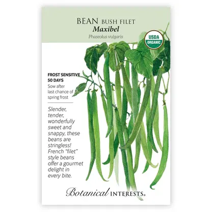 Bean Bush Filet Maxibel