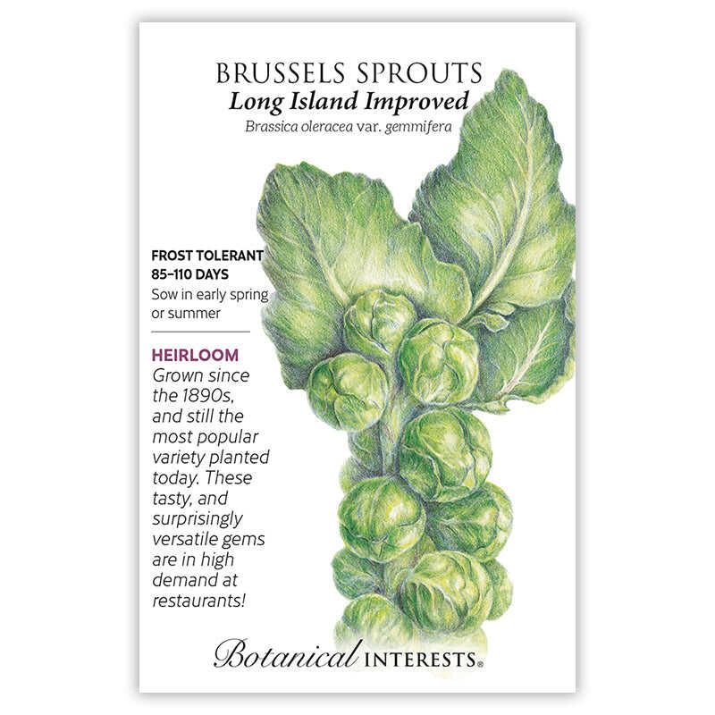 Brussels Sprouts Long Island Improved