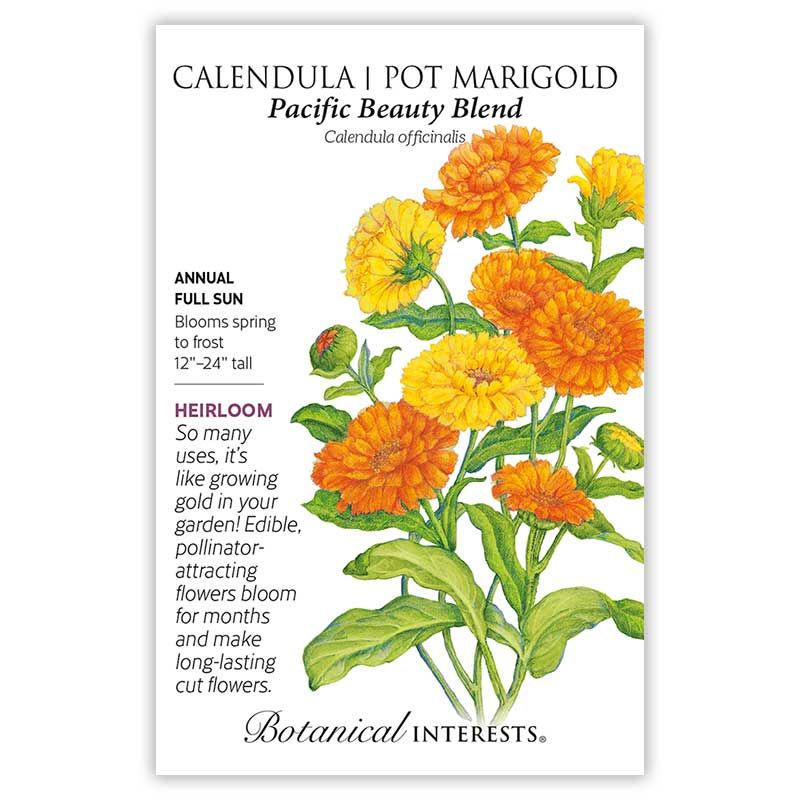Calendula/ Pot Marigold Pacific Beauty Blend