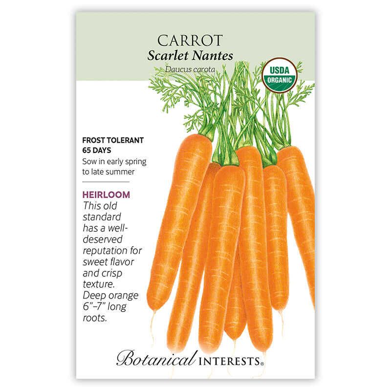 Carrot Scarlet Nantes