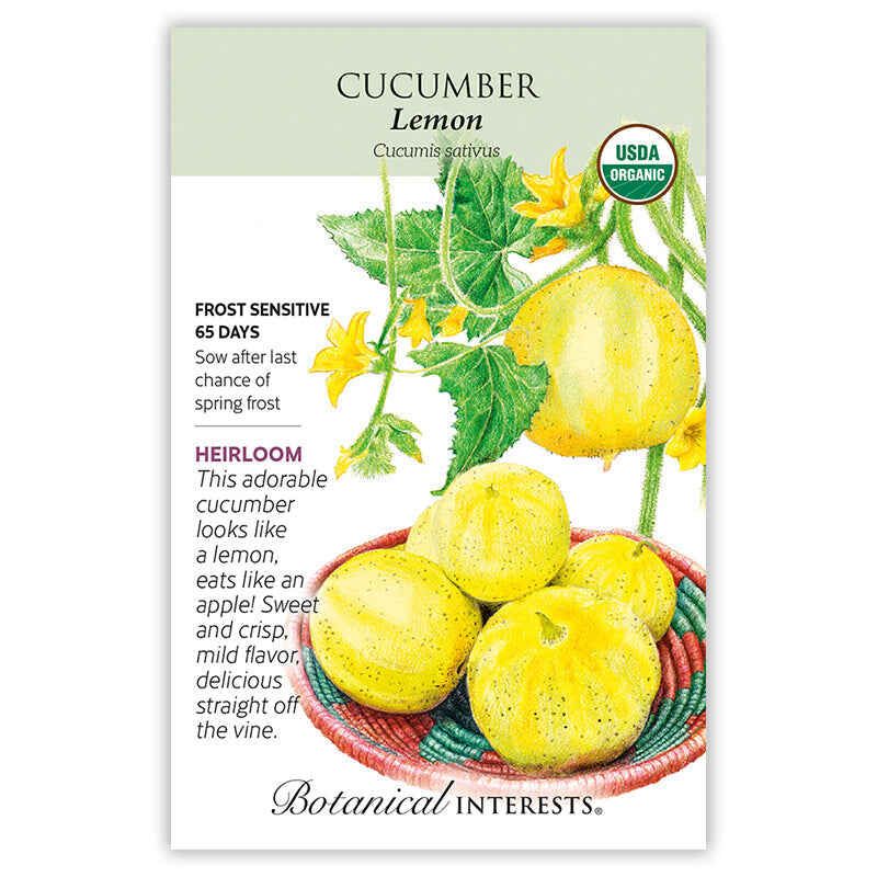 Cucumber Lemon