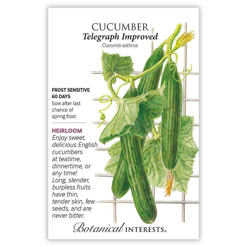 Cucumber Telegraph Improved