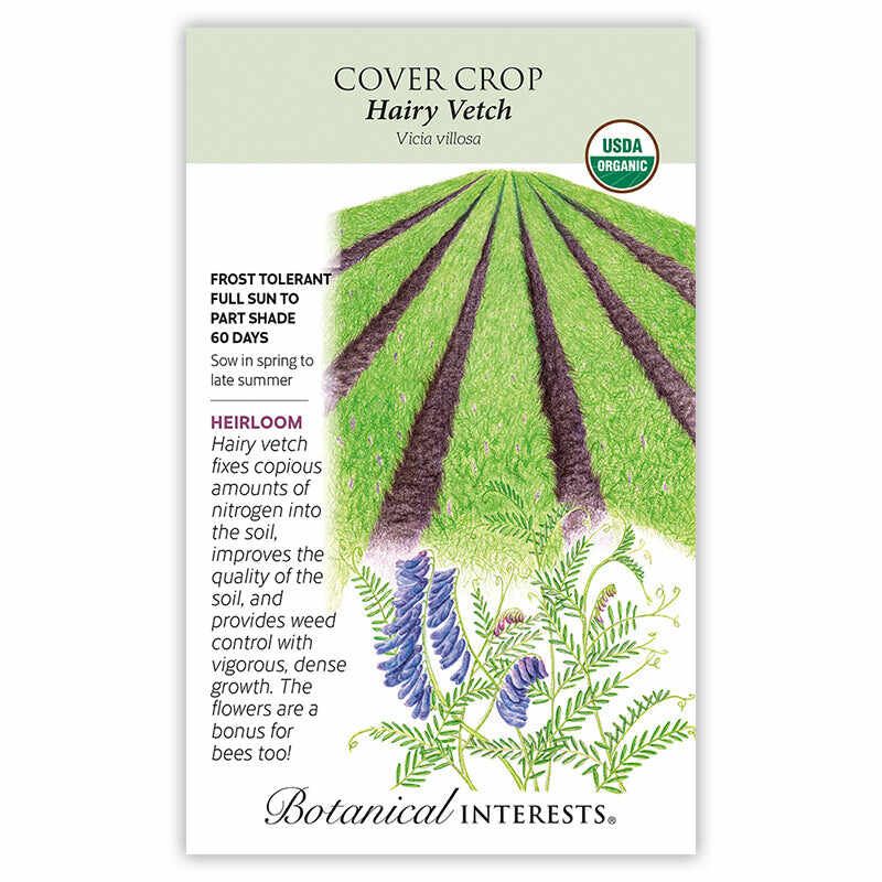 Cover Crop Hairy Vetch