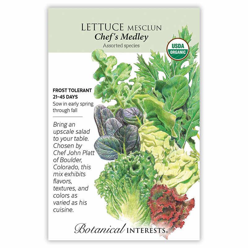 Lettuce Mesclun Chfs Medley