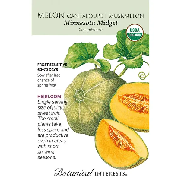 Melon Canteloupe Muskmelon Minnesota Midget