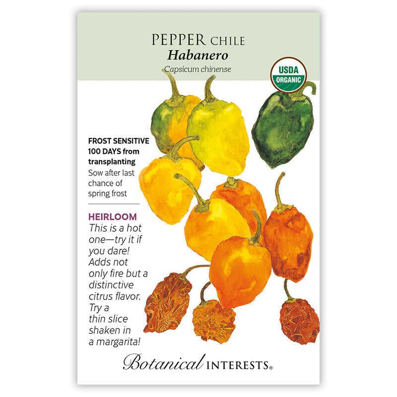 Pepper Chile Habenero
