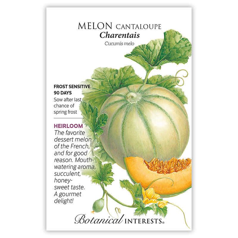 Melon Canteloupe Charentais