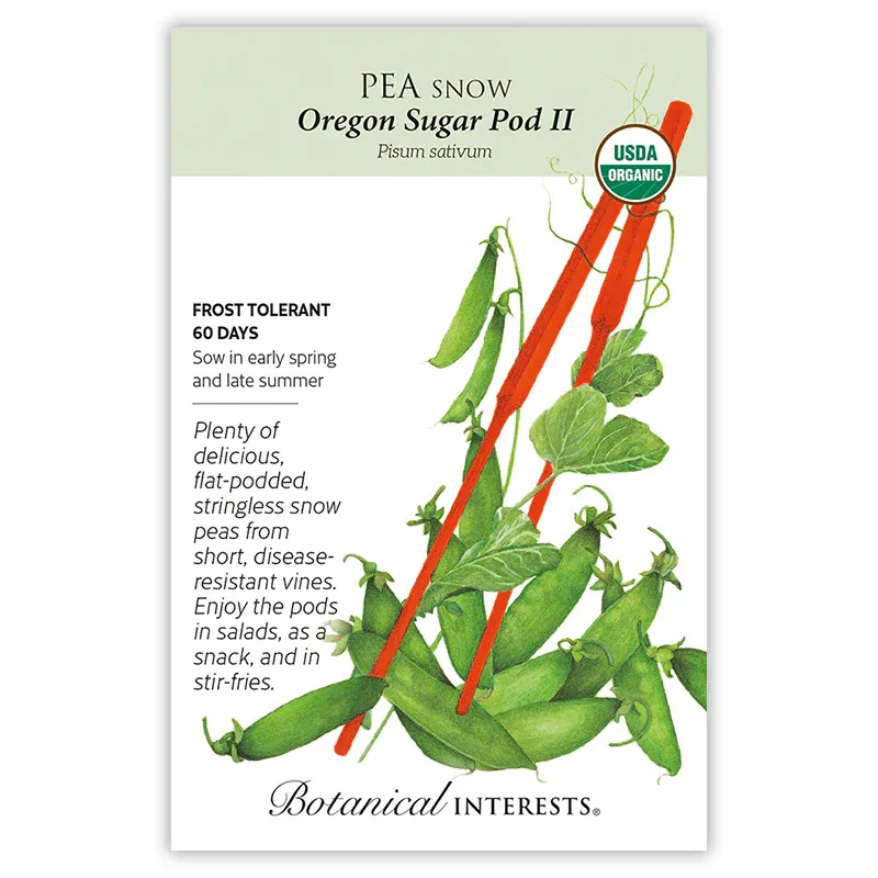 Pea Snow Oregon Sugar Pod II