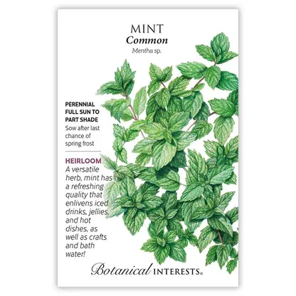 Mint Common