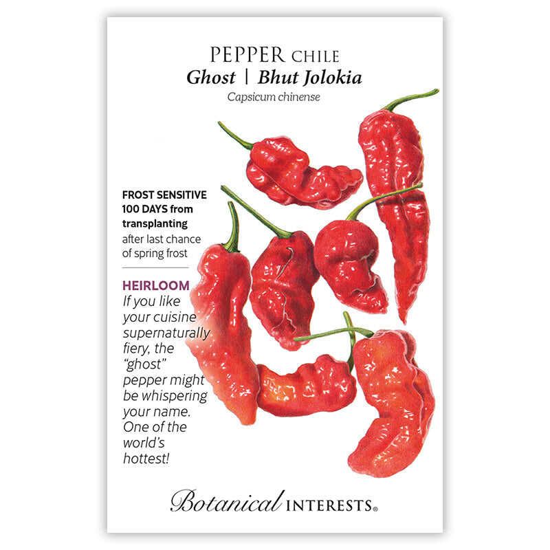 Pepper Chile Ghost/Bhut Jalokia