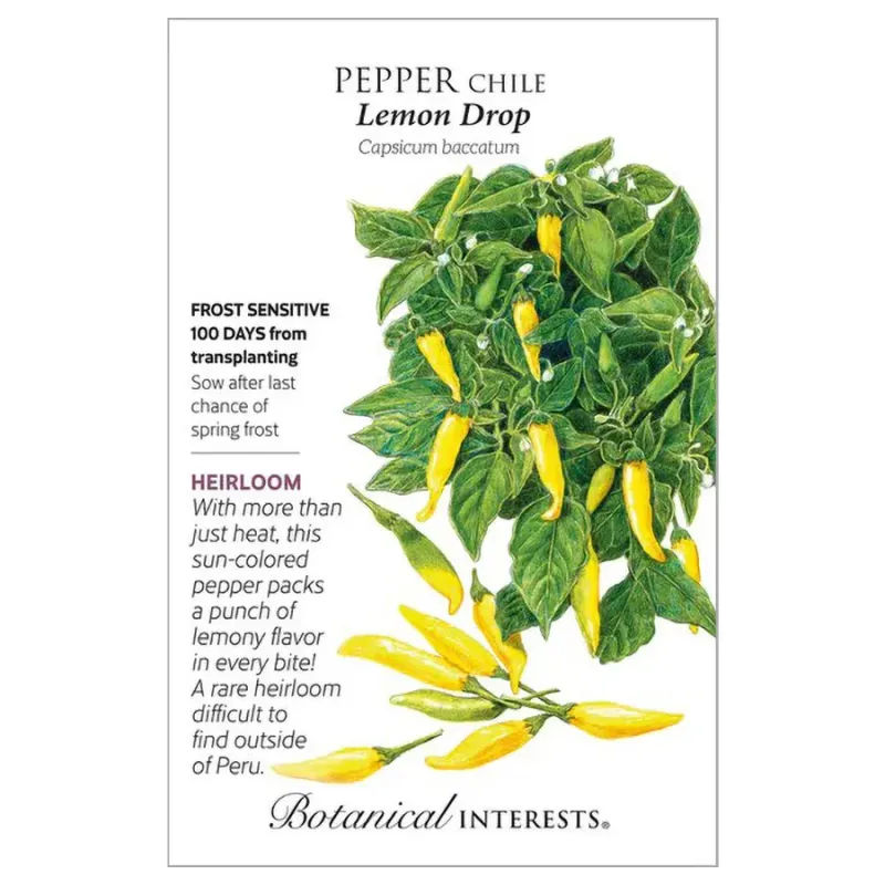 Pepper Chile Lemon Drop