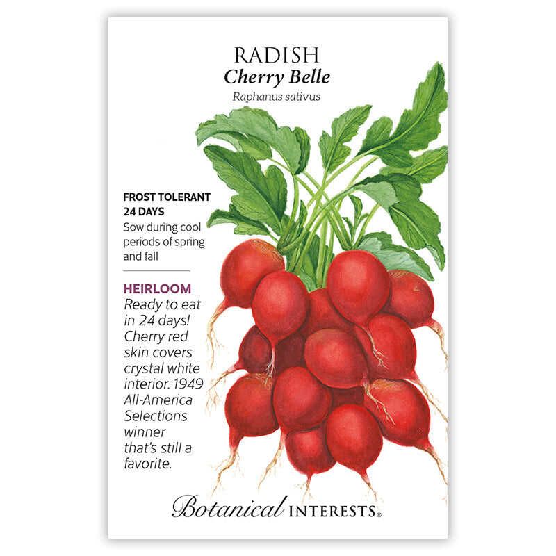 Radish Cherry Belle