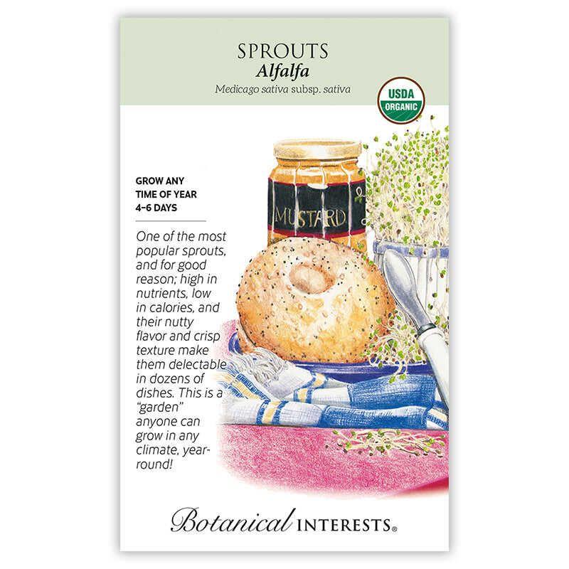 Sprouts Alfalfa