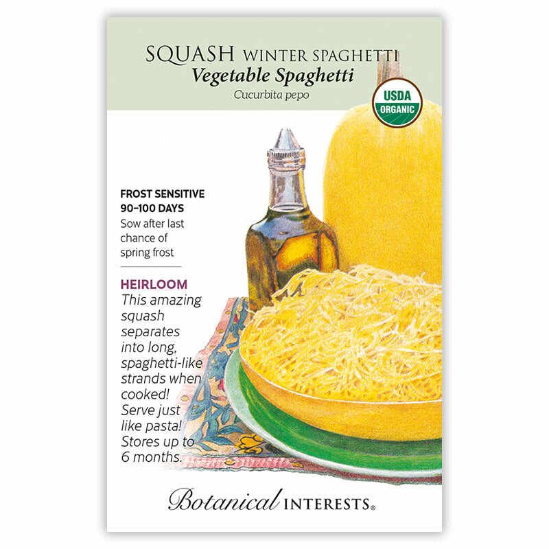 Squash Winter Spaghetti Vegetable Spaghetti