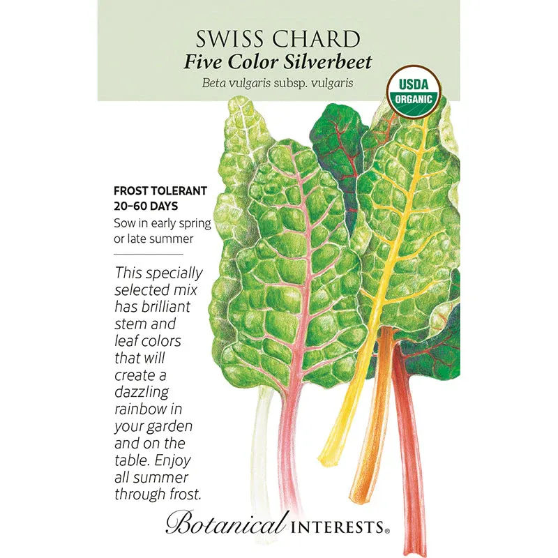 Swiss Chard Five Color Silverbeet