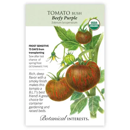 Tomato Bush Beefy Purple