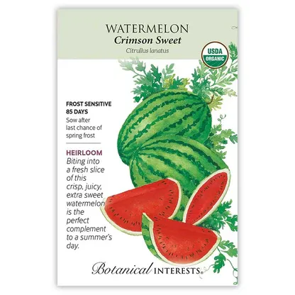 Watermelon Crimson Sweet
