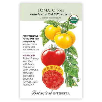 Tomato Pole Brandywine Red,yellow Blend