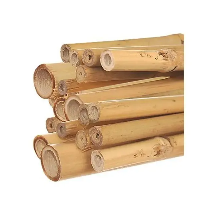 6&#39; Bamboo stakes, 50/Pack