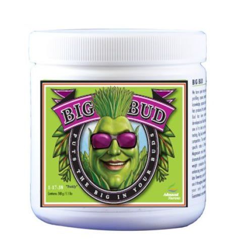 AN Big Bud Powder 500 grams