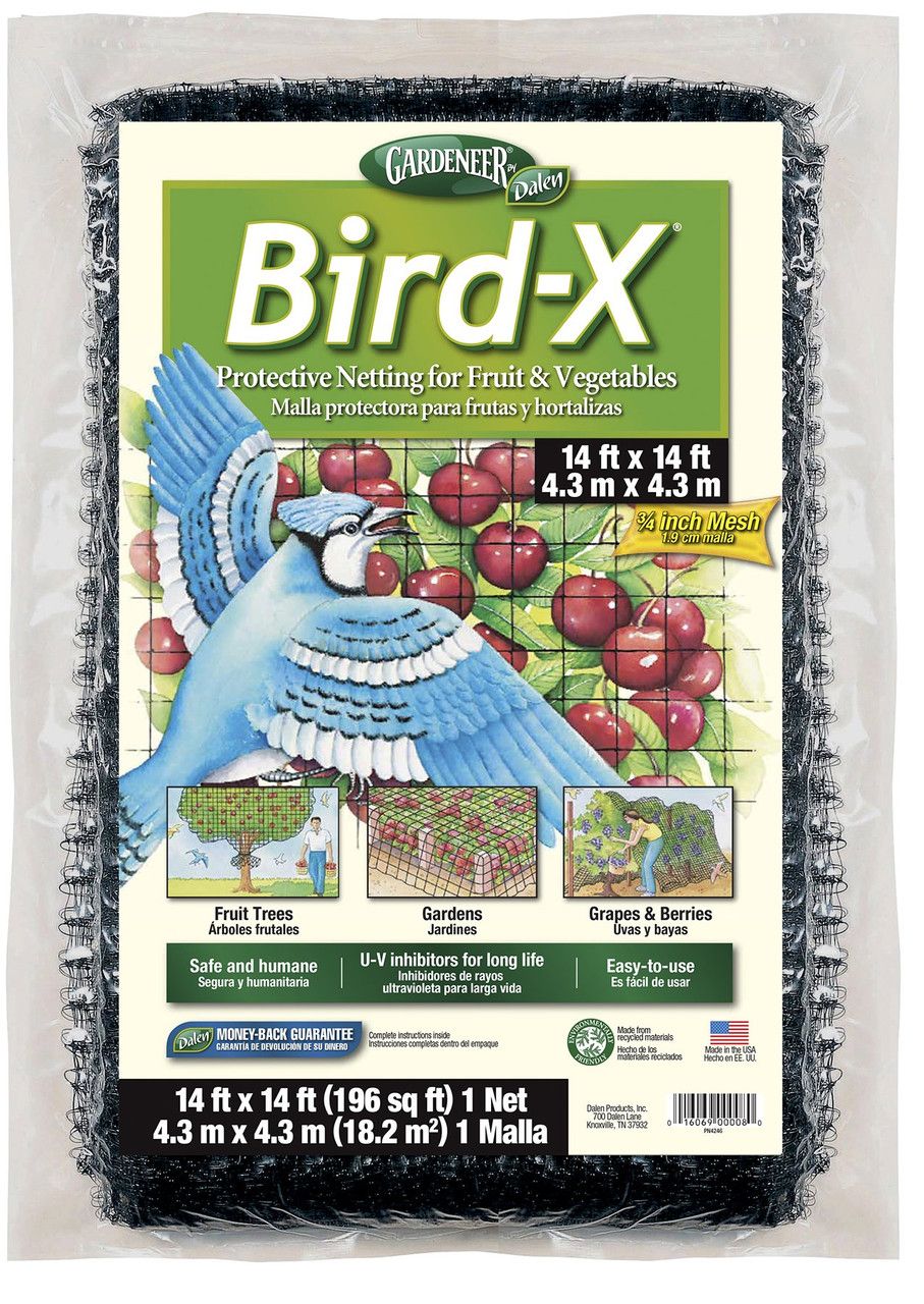 Bird X 14x14