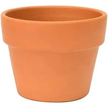 Terra Cotta Pot 5.1"