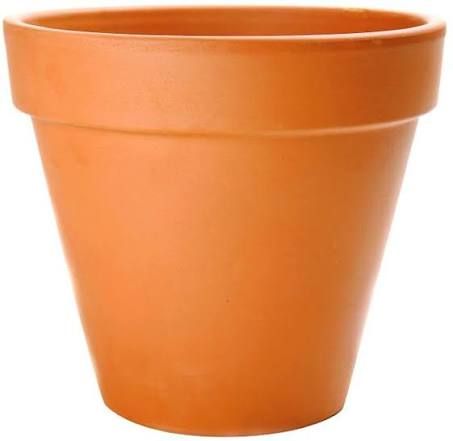 Terra Cotta Pot 7.5"