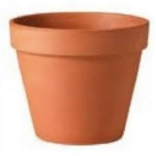 Terra Cotta Pot 10.6"