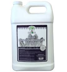 Liquid Agsil 1/2 Gal
