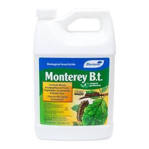 Monterey Bt Gal