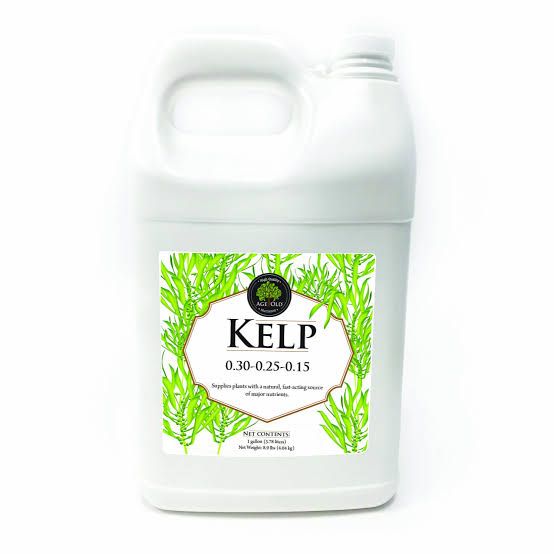 Age Old Kelp 32oz