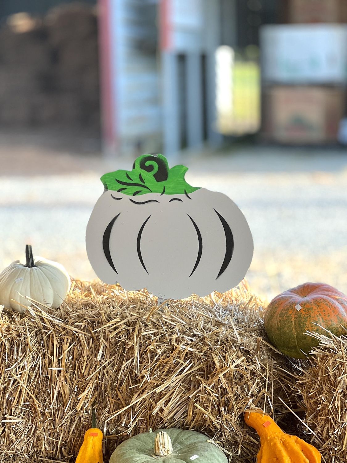 Halloween Cutouts, Type: Medium White Pumpkin