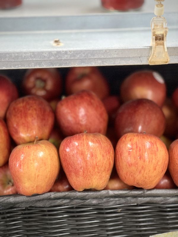 Apples
