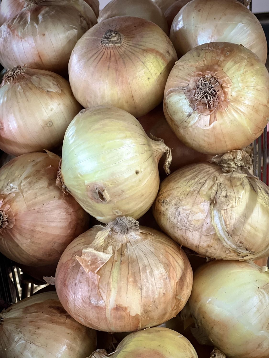 Onion, Type: By the Pound, Varient: Vidalia Sweet Onion